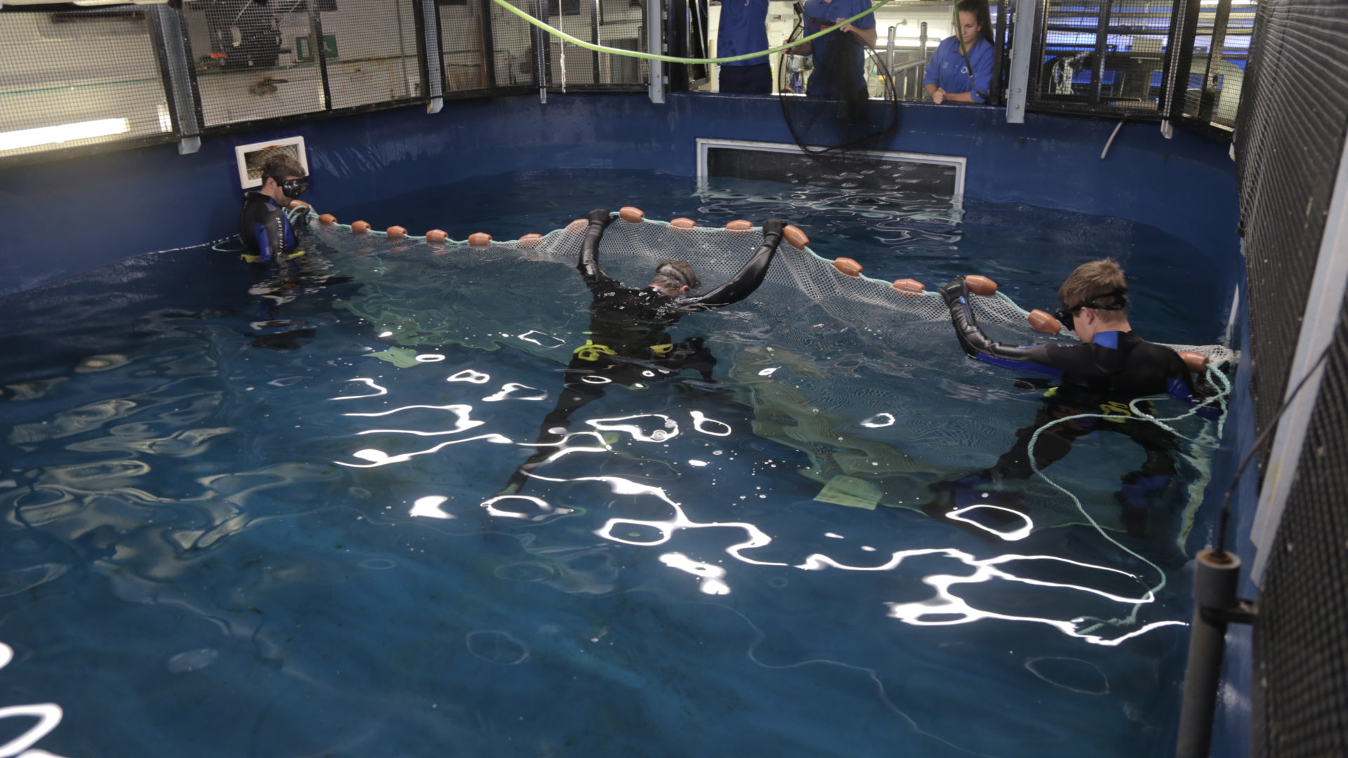 Biologist Diver - National Marine Aquarium