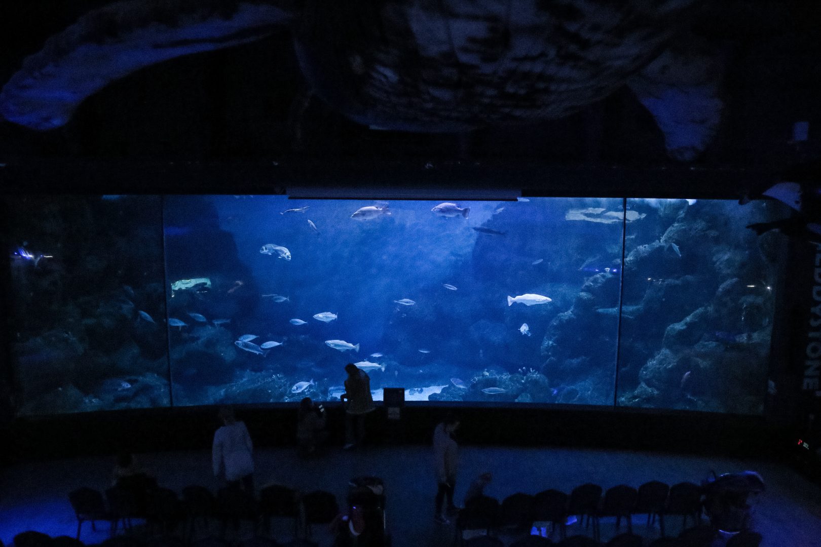 Aquarium Zones | Animals & More | National Marine Aquarium